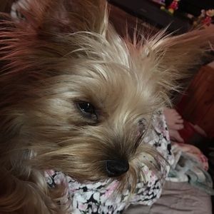 Meet your Posher, Cheryl